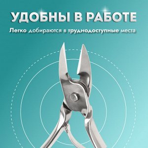 Кусачки педикюрные, прямое лезвие, 9.5 см, длина лезвия - 10 мм