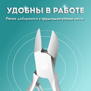 Кусачки педикюрные, прямое лезвие. 10.5 см, длина лезвия-15 мм, на блистере