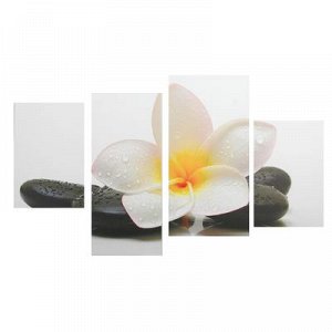 Картина модульная на подрамнике "Белый цветок у камней" 2-30х45; 1-29,5х69; 1-34х69