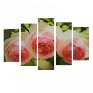 Картина модульная на подрамнике "Нежные розы" 2-25*52,2-25*66,5,1-25*80,80*140 см