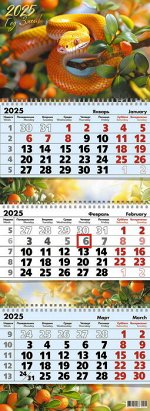Календарь квартальный 3-х  блочный, 2025 г., &quot;Змея в апельсинах&quot;, 9507