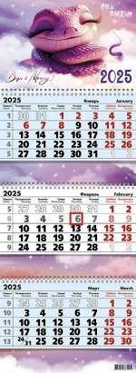 Календарь квартальный 3-х  блочный, 2025 г., &quot;Верь в мечту&quot;, 9508