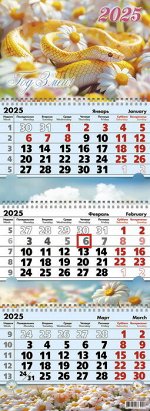 Календарь квартальный 3-х  блочный, 2025 г., &quot;Змея в ромашках&quot;, 9512