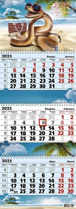 Календарь квартальный 3-х  блочный, 2025 г., &quot;На пляже&quot;, 9519