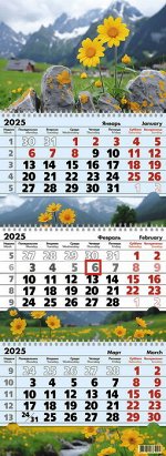Календарь квартальный 3-х  блочный, 2025 г., &quot;Цветы на камнях&quot;, 9523