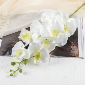 Цветы искусственные "Орхидея Изящная" 10*100 см, белая