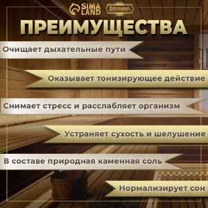 Соляной брикет набор 4 шт "Эвкалипт, Лимон, Мята, Шалфей"