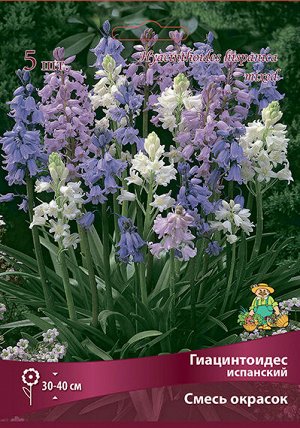 Гиацинтоидес Испанский 6/7 10шт (Поиск)