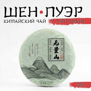ДЖЕКИЧАЙ Чай зелёный китайский выдержанный «Шен Пуэр.У Лян Шань.Wuliang», Юньнань, 2020 г., блин, 100 г