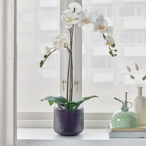 GRADVIS, горшок для растений, серый / уличный, 12 см