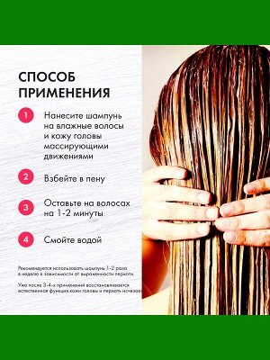 Шампунь дерматологический Дегтярный традиционный Аптечка Агафьи 300мл