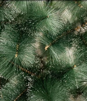 Новогодняя елка / Ель искусственная (С180ПЭТ) [ПЭТ 180см, вет. 148шт, 5 ярусов, иней, шишки]
