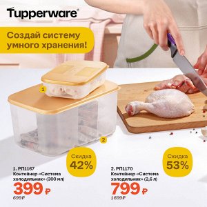 Контейнер "Система холодильник" (300 мл)