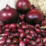 Лук севок озимый Ред КАРМЕН 0,5кг (Чувашия)