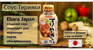 Соус EBARA для жареной рыбы и курицы ТЕРИЯКИ 235гр