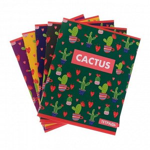 Тетрадь 48 листов в клетку Calligrata &quot;Кактус&quot;, обложка мелованный картон, блок офсет, МИКС