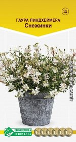 Гаура линдхеймера Снежинки (10 шт)