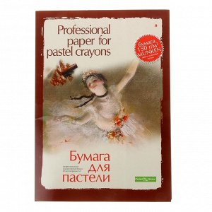 Бумага для пастели А3, 20 листов "Профессиональная серия", 150 г/м?