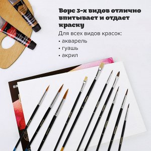 Кисти ПИФАГОР, НАБОР 10шт. (ПОНИ - 5 шт. СИНТЕТИКА - 3 шт. ЩЕТИНА - 2 шт, круглые, плоские), 200505