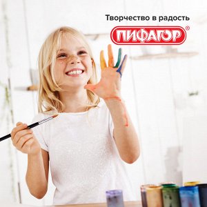 Кисти ПИФАГОР, НАБОР 10шт. (ПОНИ - 5 шт. СИНТЕТИКА - 3 шт. ЩЕТИНА - 2 шт, круглые, плоские), 200505