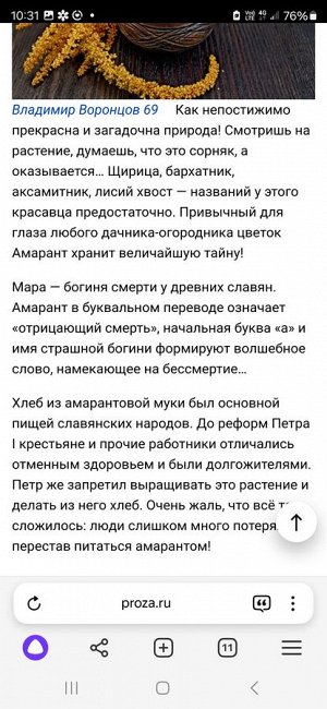 Амарант