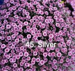 45 Silver