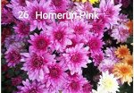 26 Homerun Pink