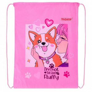 Мешок для обуви ПИФАГОР, 1 отделение, 42х34 см, Fluffy akita, 272385