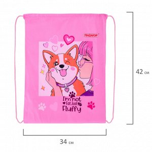 Мешок для обуви ПИФАГОР, 1 отделение, 42х34 см, Fluffy akita, 272385