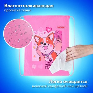 Мешок для обуви ПИФАГОР, 1 отделение, 42х34 см, Fluffy akita, 272385