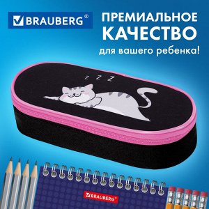 Пенал-футляр BRAUBERG, 1 отделение, органайзер, полиэстер, 22x9х5 см, Don't wake up, 272311