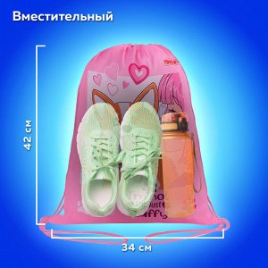 Мешок для обуви ПИФАГОР, 1 отделение, 42х34 см, Fluffy akita, 272385