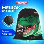 Мешок для обуви ПИФАГОР, 1 отделение, 42х34 см, Dino roar, 272387