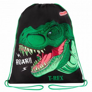 Мешок для обуви ПИФАГОР, 1 отделение, 42х34 см, Dino roar, 272387