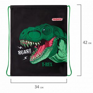 Мешок для обуви ПИФАГОР, 1 отделение, 42х34 см, Dino roar, 272387