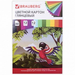 Картон цветной А4 МЕЛОВАННЫЙ, 12л. 12цв., в папке, BRAUBERG, 200х290мм, Килиманджаро, 129917