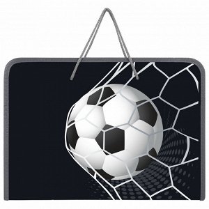 Папка для труда на молнии с ручками ПИФАГОР А4, 1 отд., пластик, органайзер, Ball kick, 272229