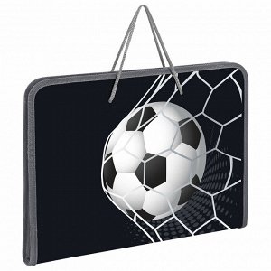 Папка для труда на молнии с ручками ПИФАГОР А4, 1 отд., пластик, органайзер, Ball kick, 272229