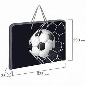 Папка для труда на молнии с ручками ПИФАГОР А4, 1 отд., пластик, органайзер, Ball kick, 272229