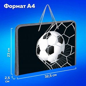 Папка для труда на молнии с ручками ПИФАГОР А4, 1 отд., пластик, органайзер, Ball kick, 272229