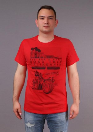 Футболка Мужская(мотоцикл 66) арт.3-609а