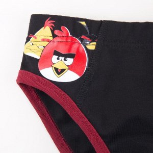 Набор трусов 2 шт. &#039;Angry Birds&#039; для мальчика р.28-34