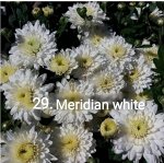 29 Meridian White