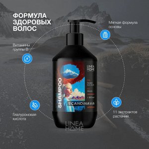 Безсульфатный шампунь для волос SCANDINAVIA AROMA 600 мл.