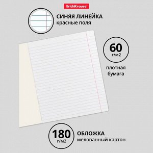 Тетрадь 18 листов в линейку ErichKrause Cool Girl, обложка мелованный картон, блок офсет, белизна 100%, с принтом