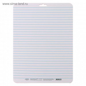 Доска маркерная A4 (33 х 24 см) Calligrata, двусторонняя: клетка/линейка, красная