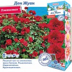 Роза Дон Жуан (Плетистая) 1шт (Сиб сад)