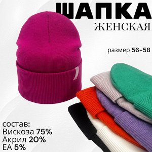 Шапка женская (осень-зима)