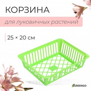 Корзина для луковичных, квадратная, 25x20 см, зелёная, Greengo