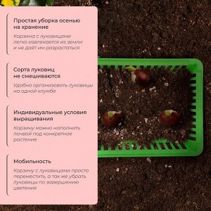 Корзина для луковичных, квадратная, 25x20 см, зелёная, Greengo